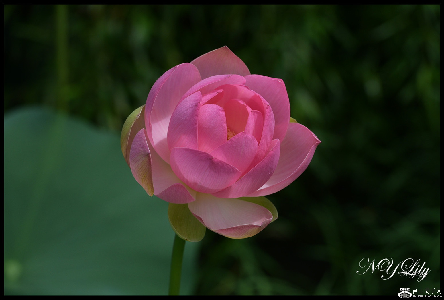 DSC_9002.JPG