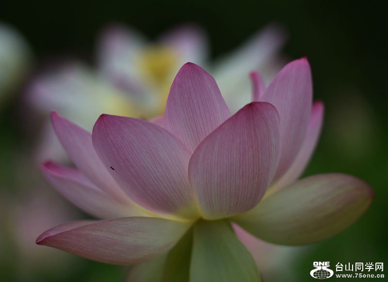 DSC_7050.JPG