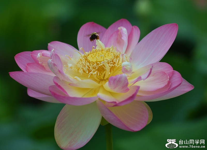 DSC_6839.JPG