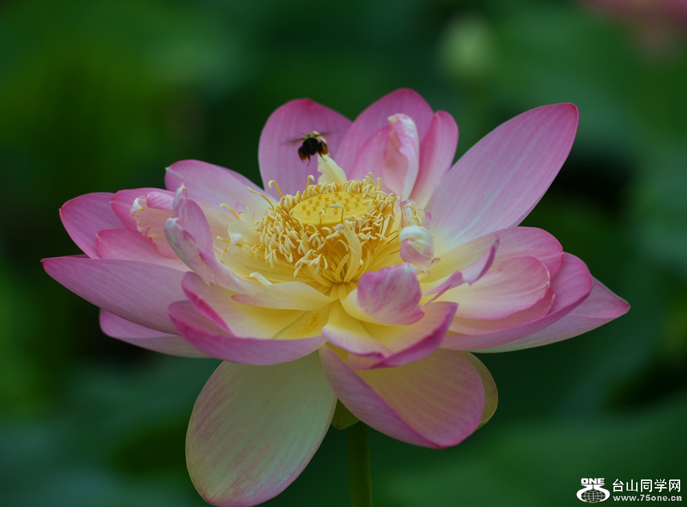 DSC_6839_.jpg