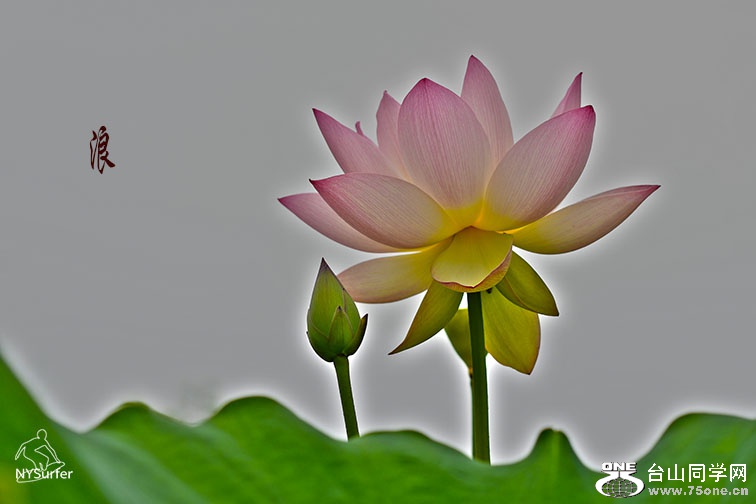 DSC_21101.jpg