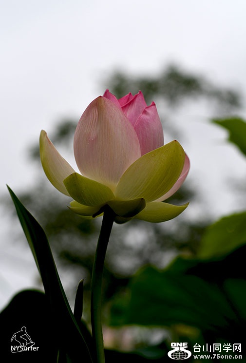 DSC_21013.jpg