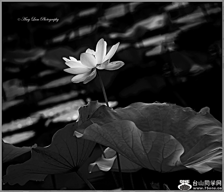 IMG_8698b.jpg