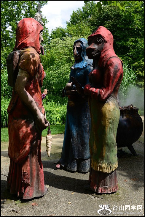 DSC_3338.jpg