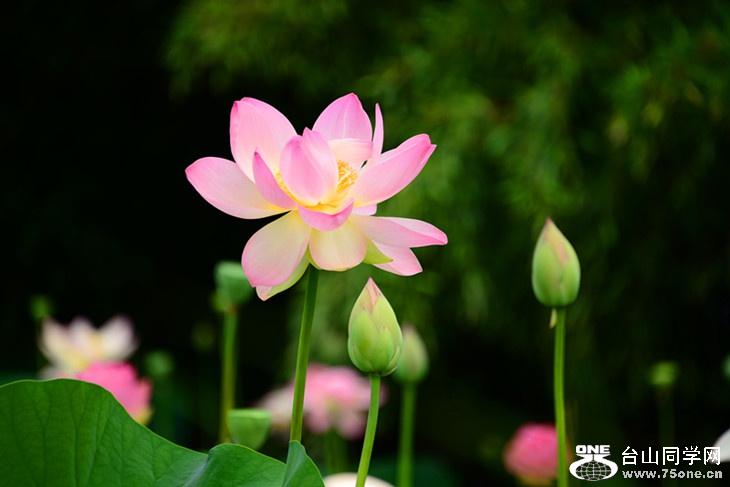 DSC_3405_副本.jpg