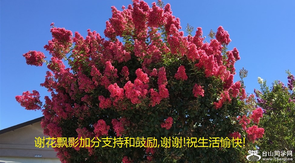 谢花飘影加分支持和鼓励,谢谢!祝生活愉快!.jpg