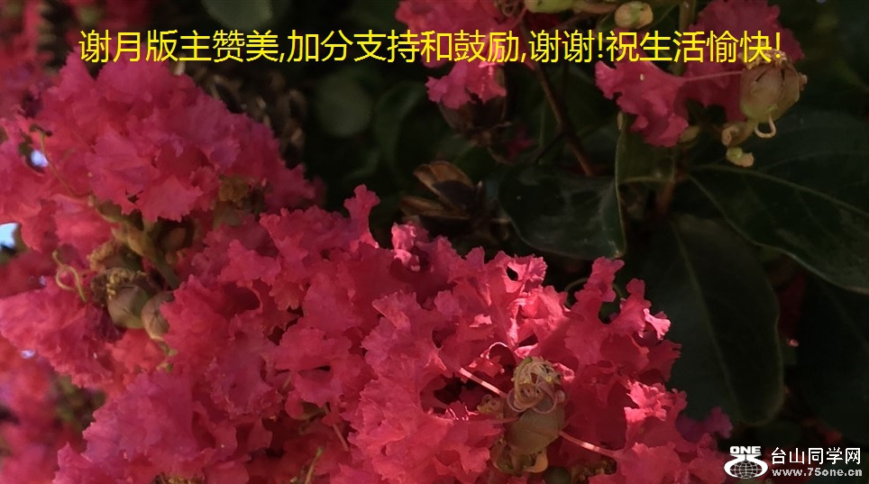 谢月版主赞美,加分支持和鼓励,谢谢!祝生活愉快!.jpg
