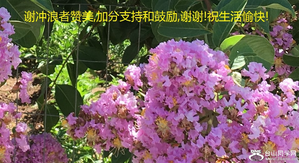 谢冲浪者赞美,加分支持和鼓励,谢谢!祝生活愉快!.jpg