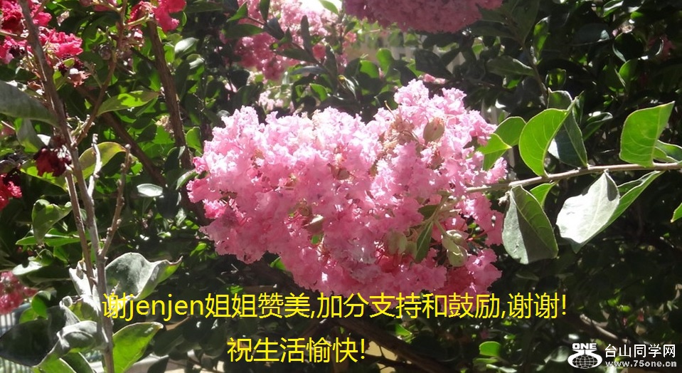 谢jenjen姐姐赞美,加分支持和鼓励,谢谢!祝生活愉快!.jpg