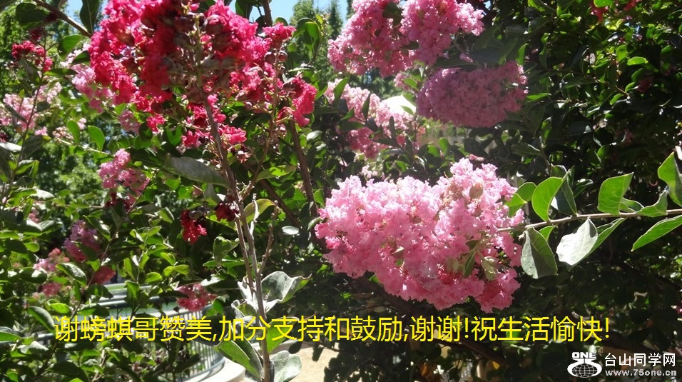谢螃蜞哥赞美,加分支持和鼓励,谢谢!祝生活愉快!.jpg