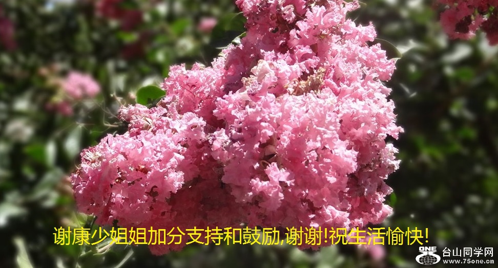 谢康少姐姐加分支持和鼓励,谢谢!祝生活愉快!.jpg