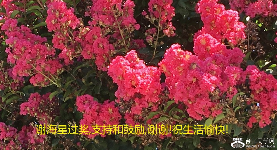 谢海星过奖,支持和鼓励,谢谢!祝生活愉快!.jpg