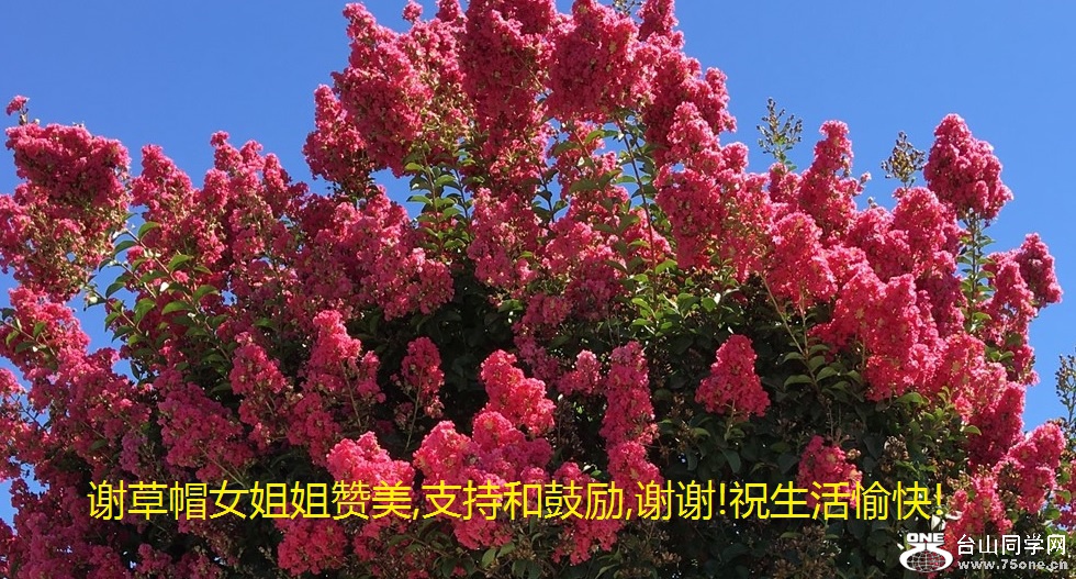 谢草帽女姐姐赞美,支持和鼓励,谢谢!祝生活愉快!.jpg
