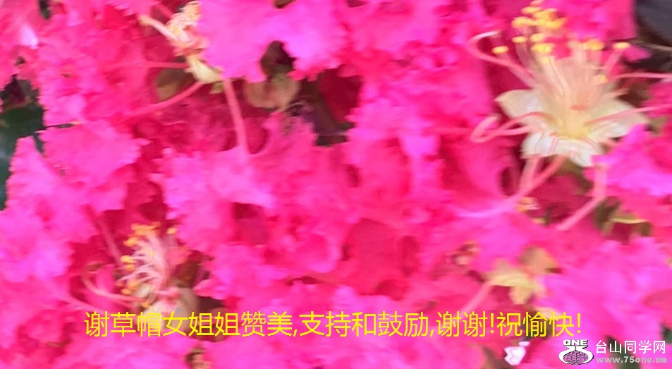 谢草帽女姐姐赞美,支持和鼓励,谢谢!祝愉快!.jpg