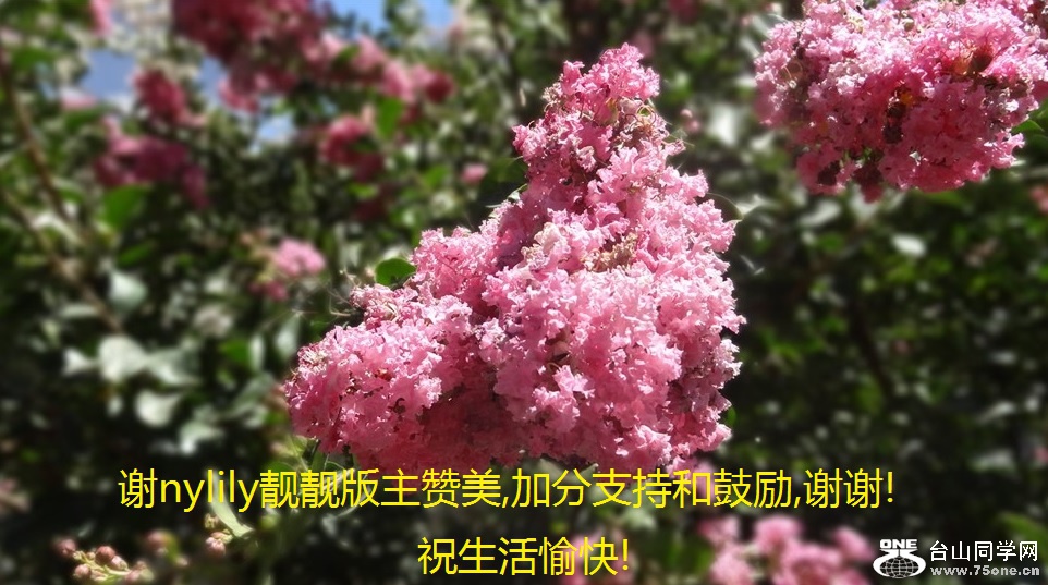 谢nylily靓靓版主赞美,加分支持和鼓励,谢谢!祝生活愉快!.jpg