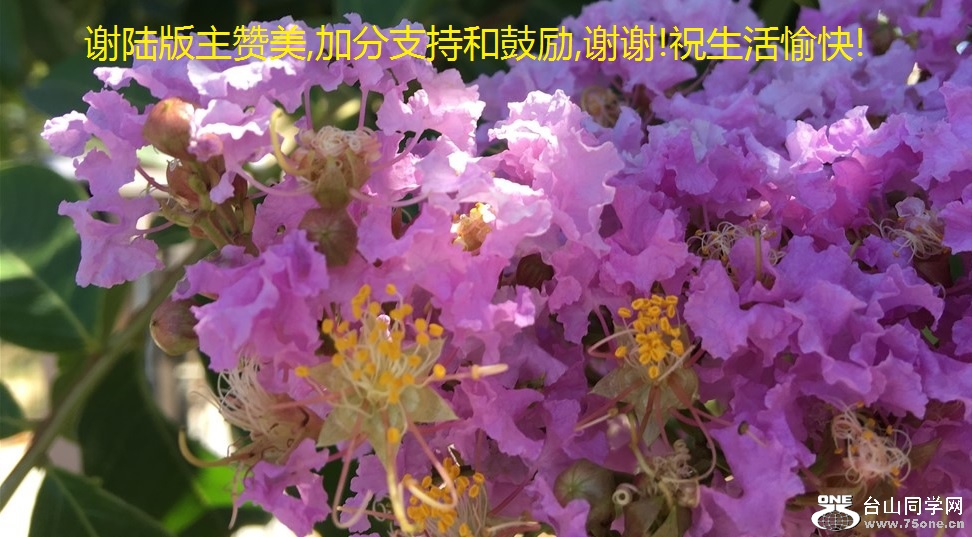 谢陆版主赞美,加分支持和鼓励,谢谢!祝生活愉快!.jpg