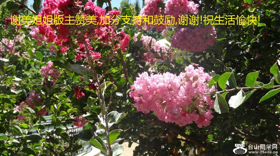 谢美姐姐版主赞美,加分支持和鼓励,谢谢!祝生活愉快!.jpg