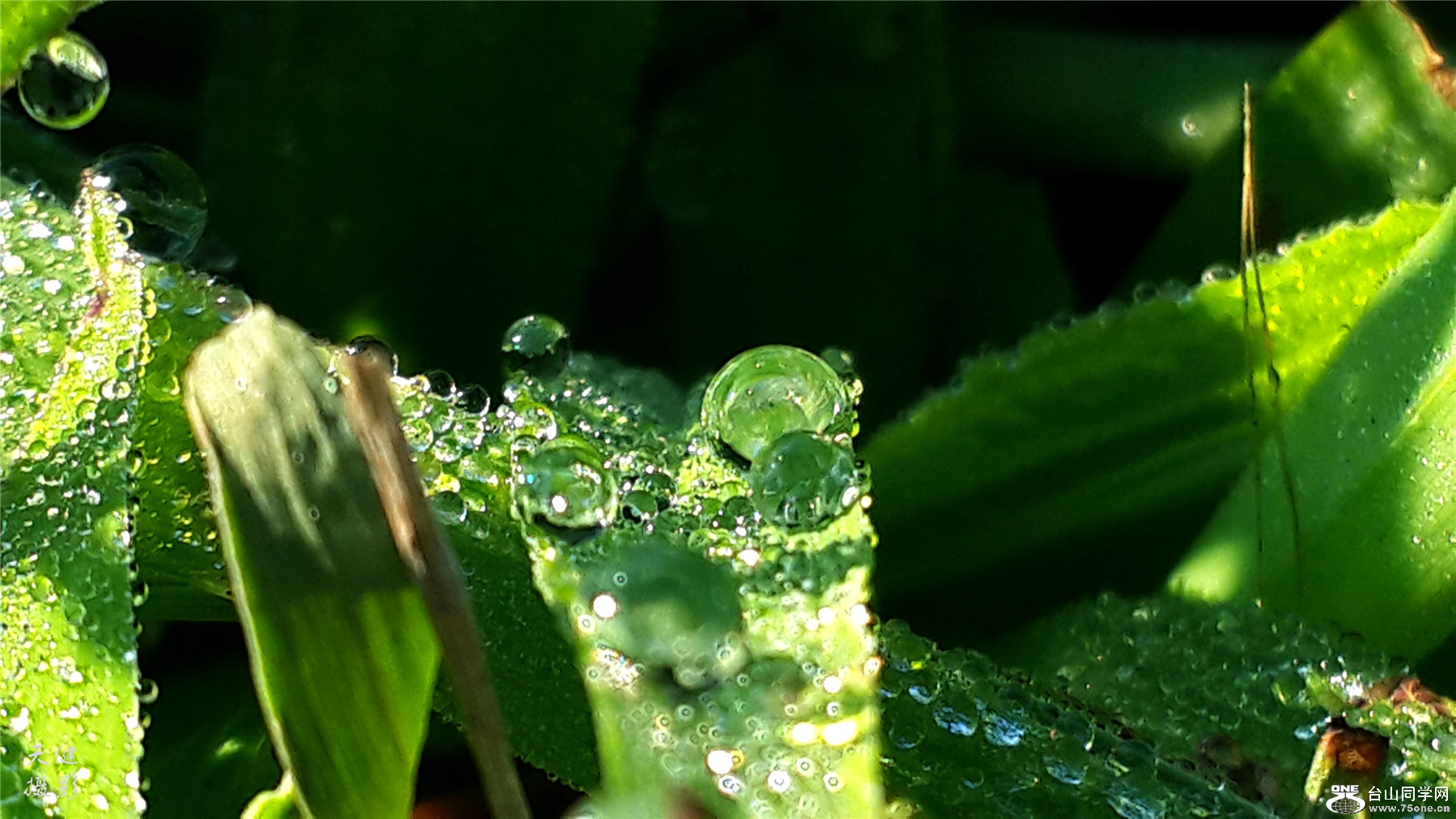 20160809_073409.jpg