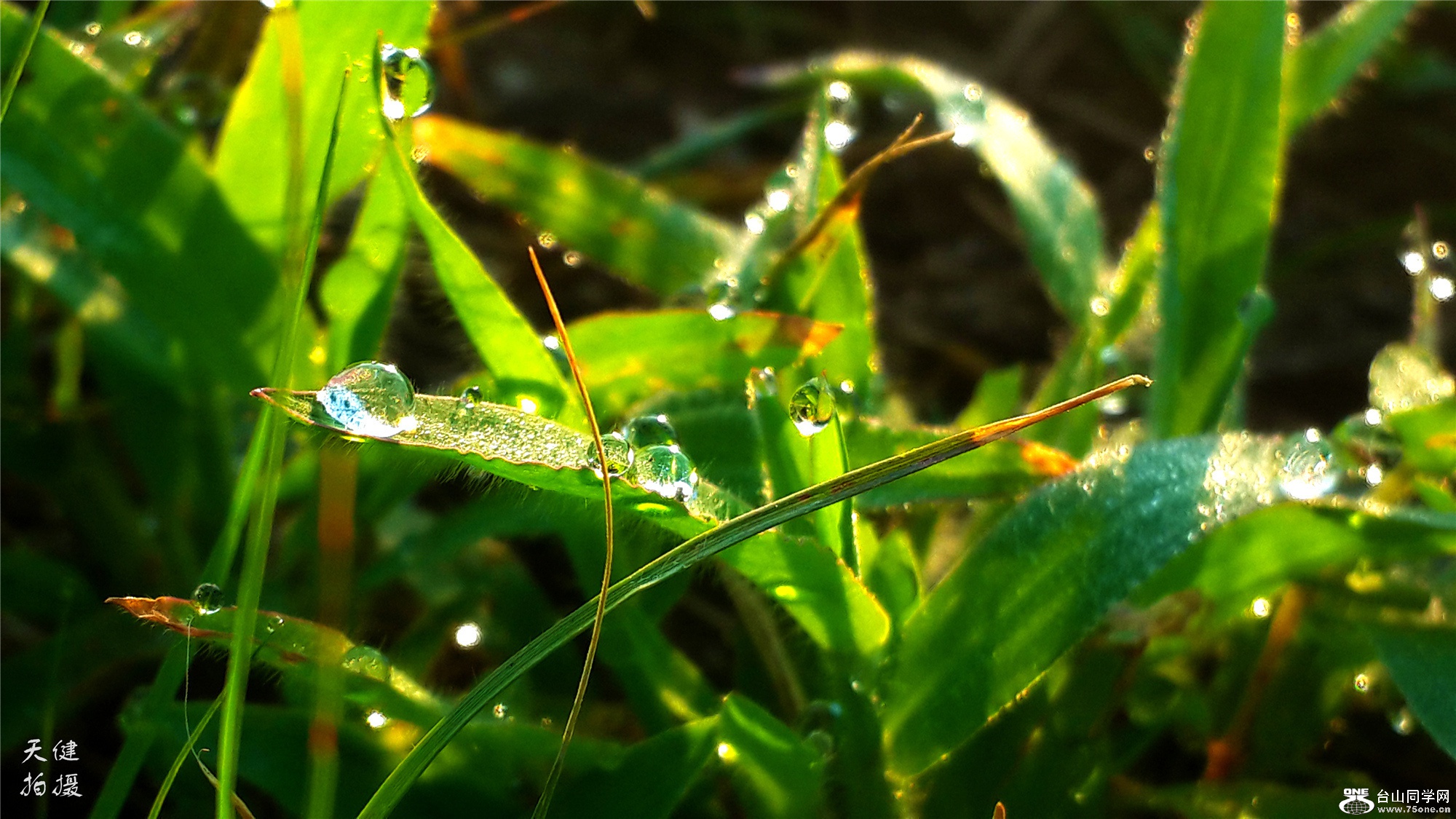 20160730_065424.jpg