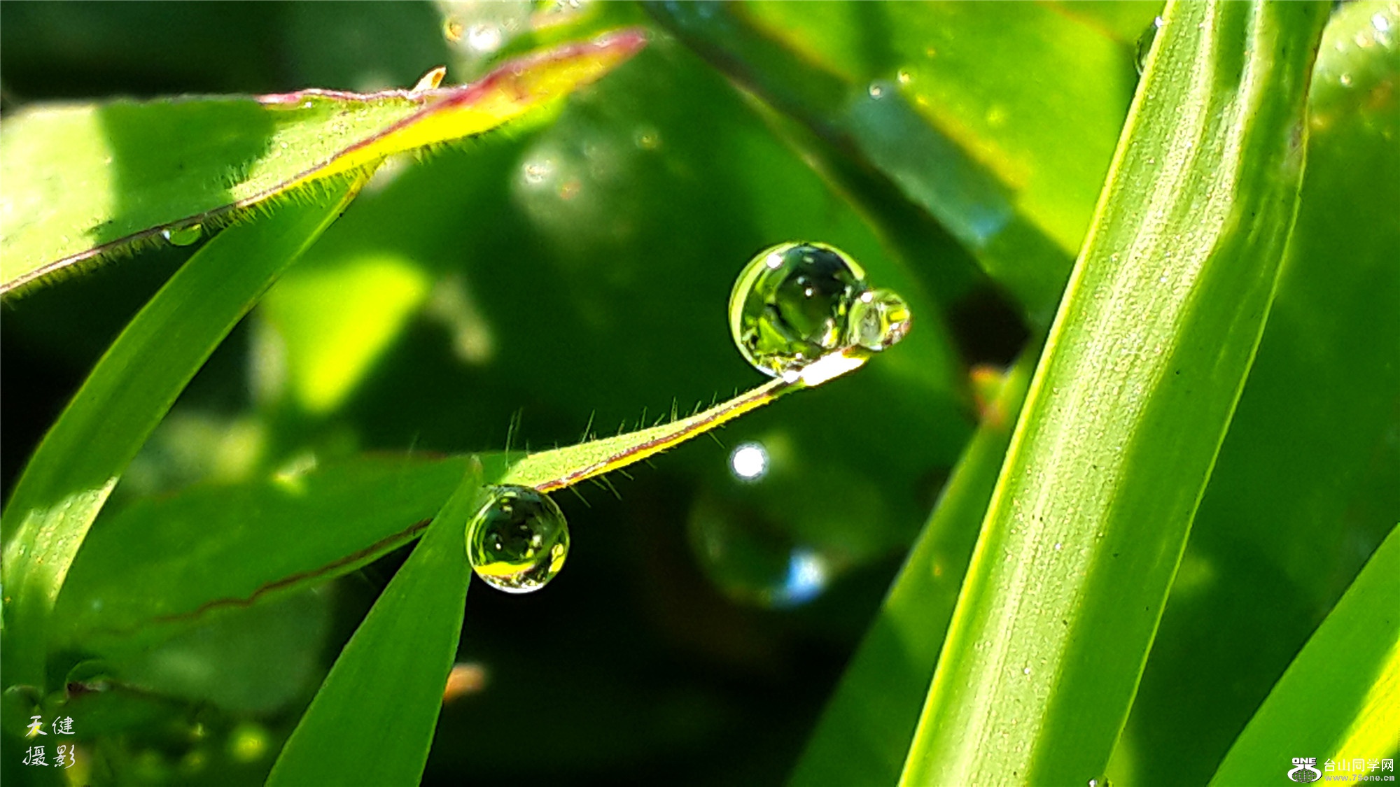 20160809_073509.jpg