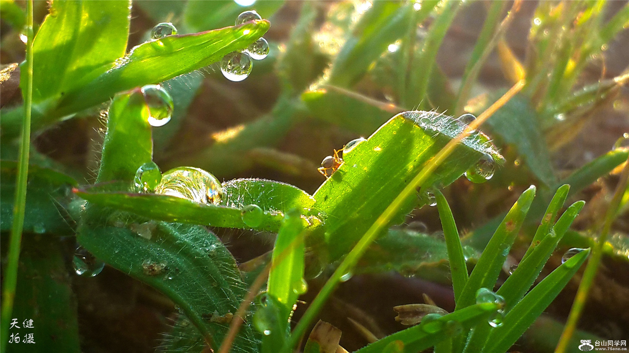 20160730_070006.jpg