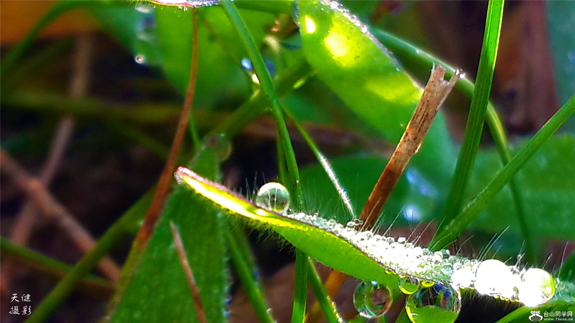 20160809_073625.jpg