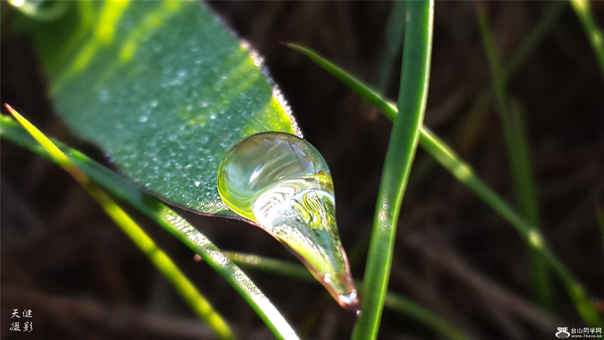 20160809_072754.jpg