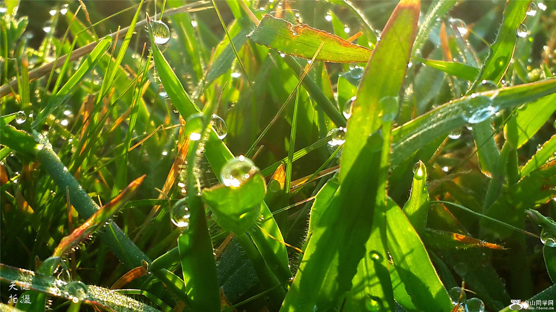 20160730_065711.jpg