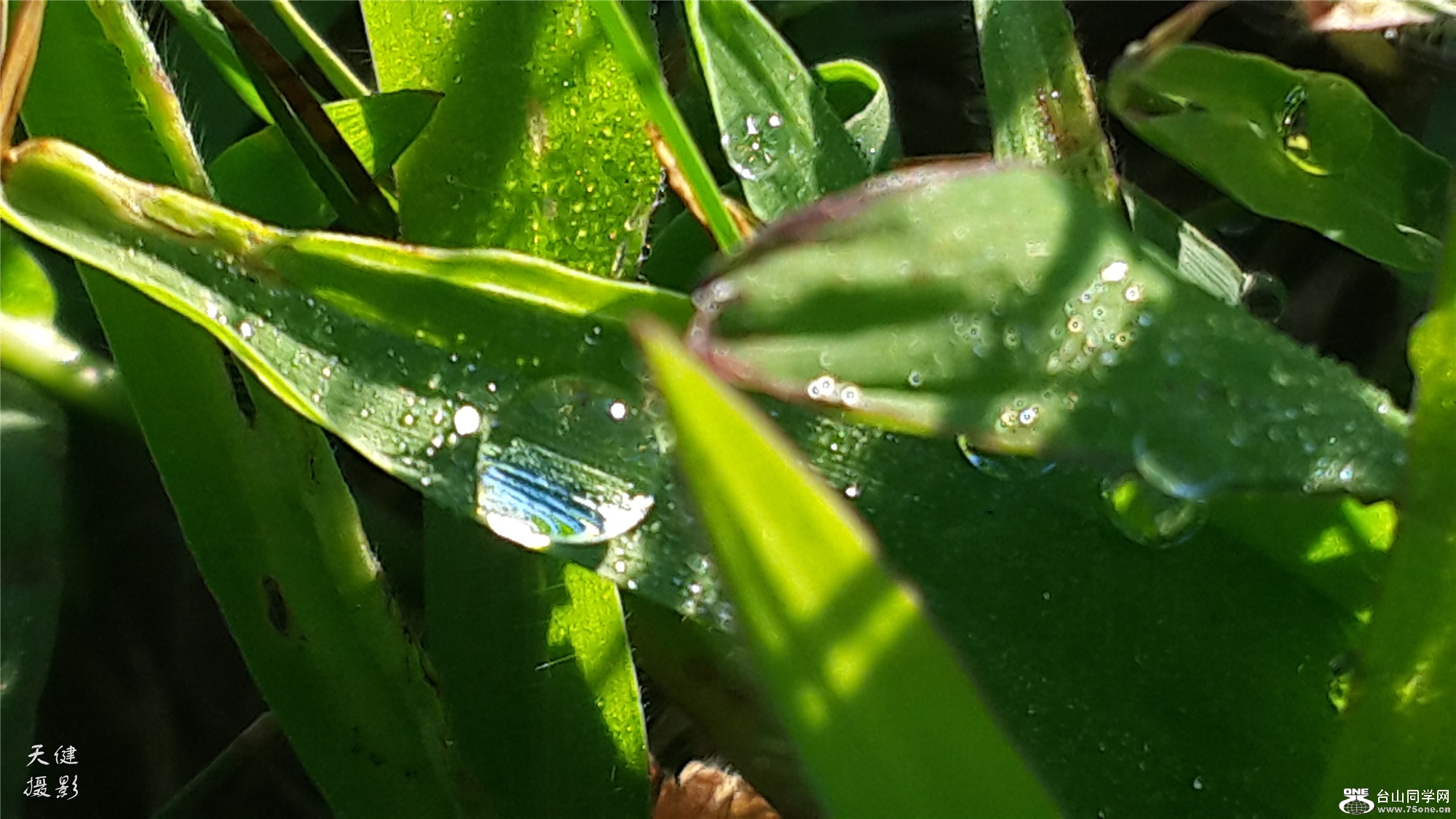 20160809_073943.jpg