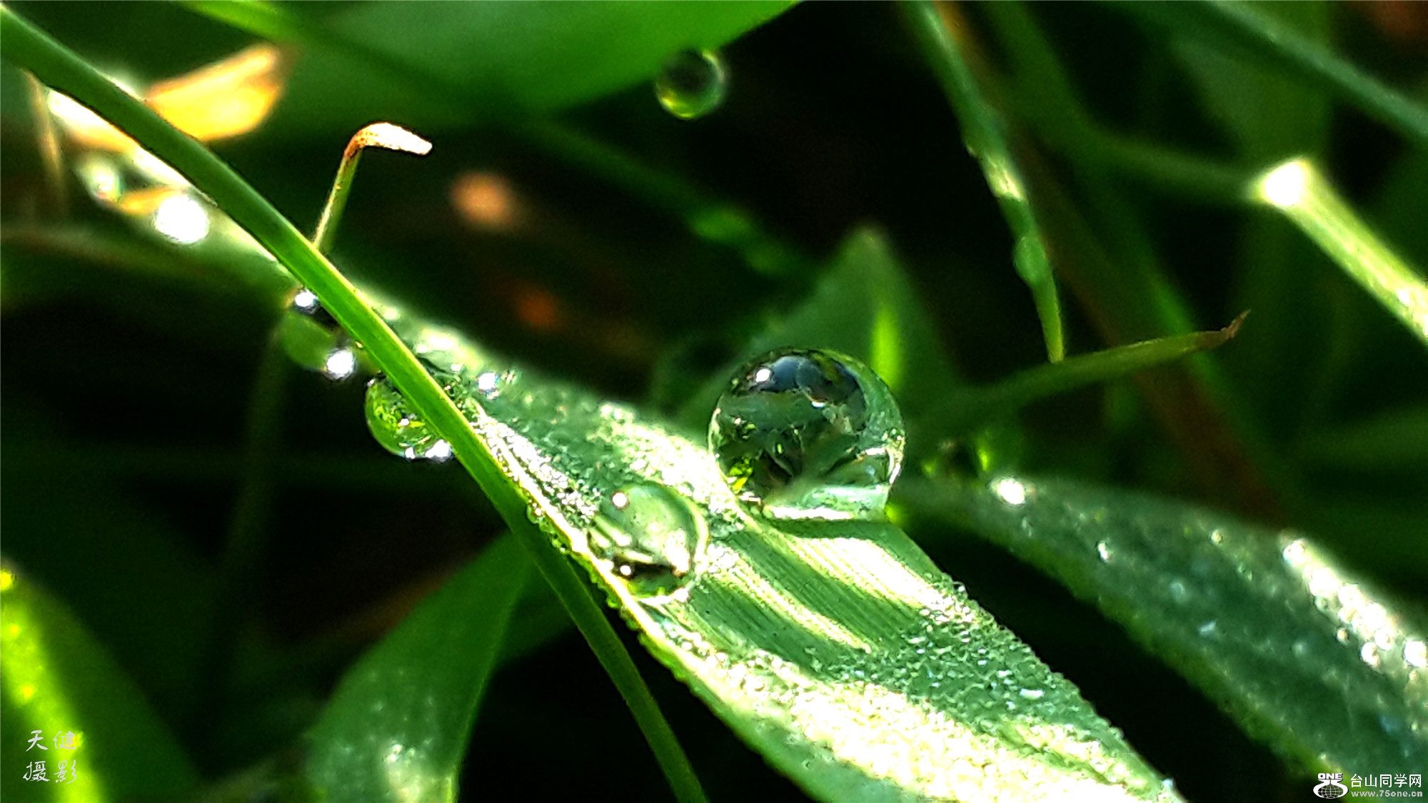 20160809_073300.jpg