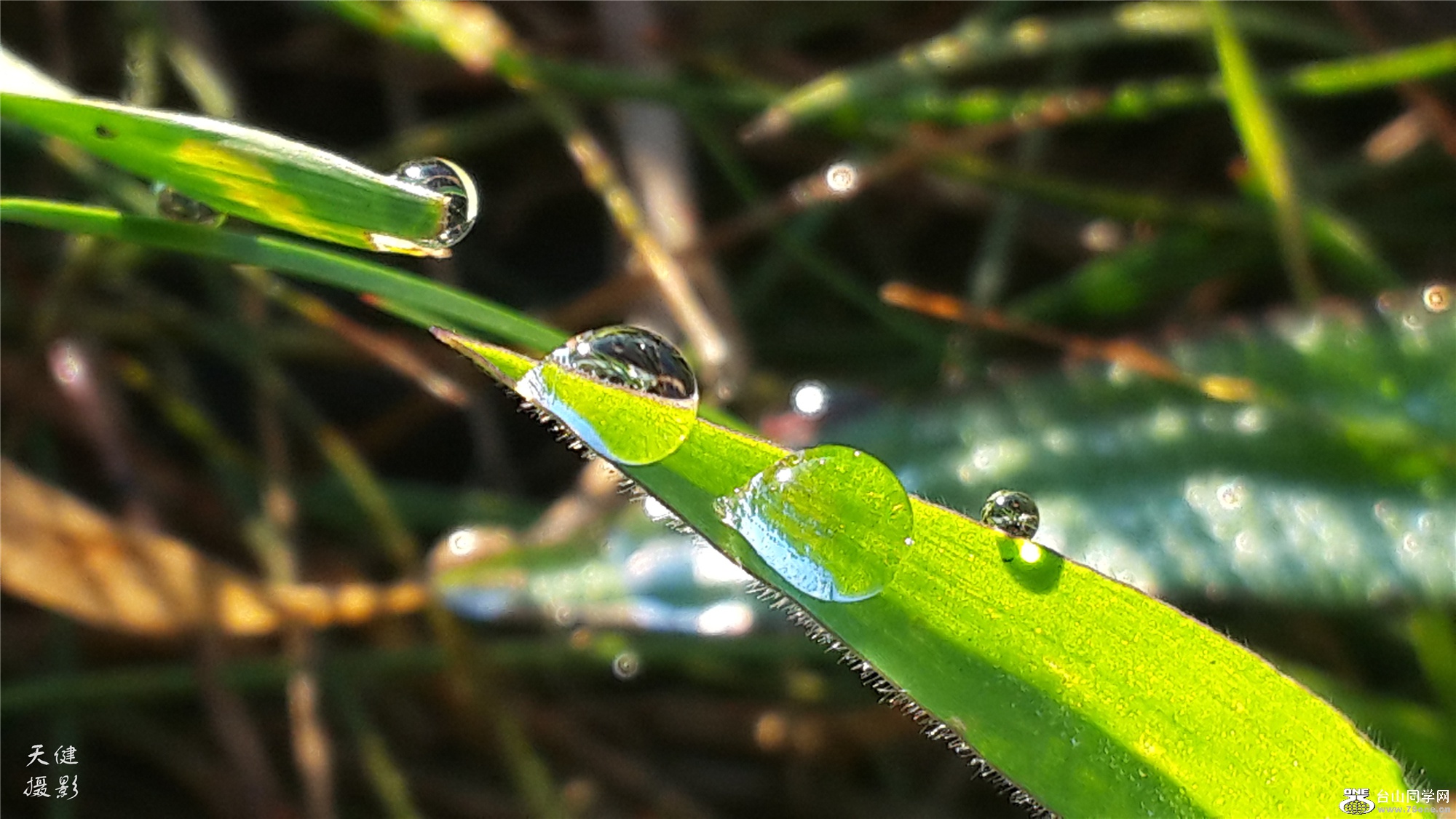 20160809_072615.jpg