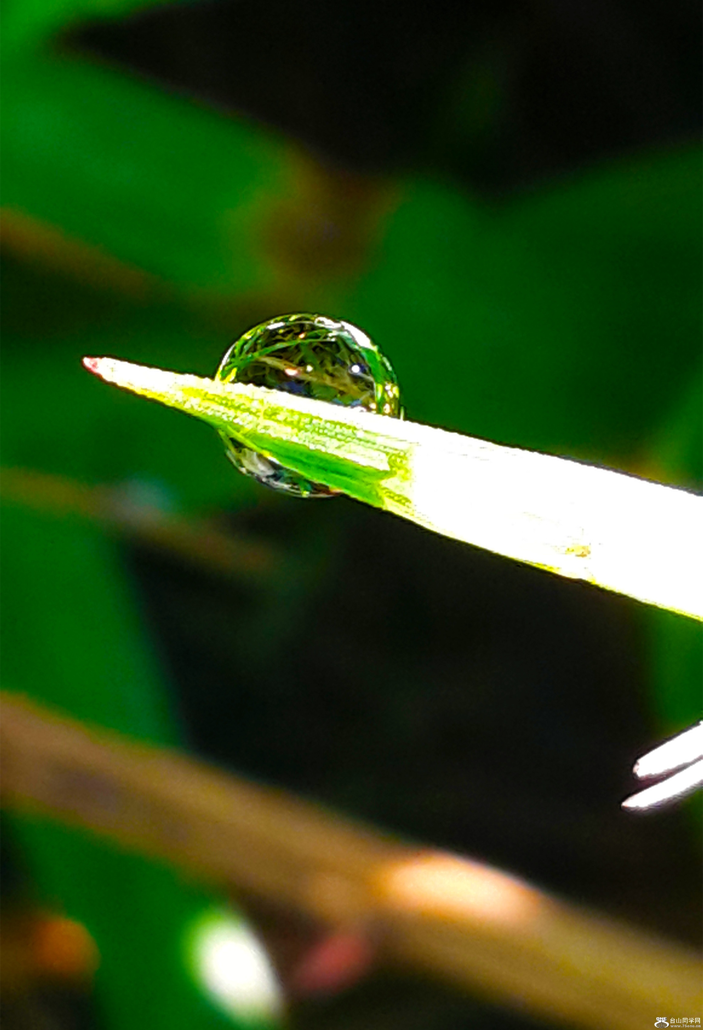 20160809_075530.jpg