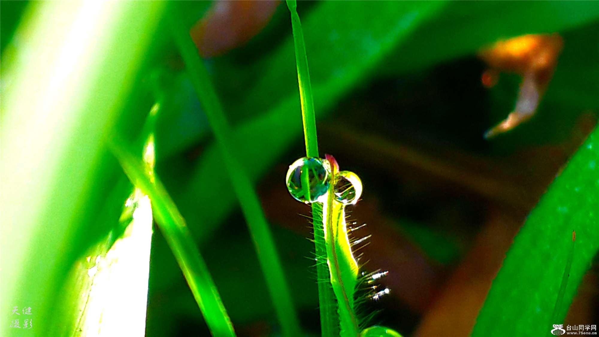 20160809_073558.jpg