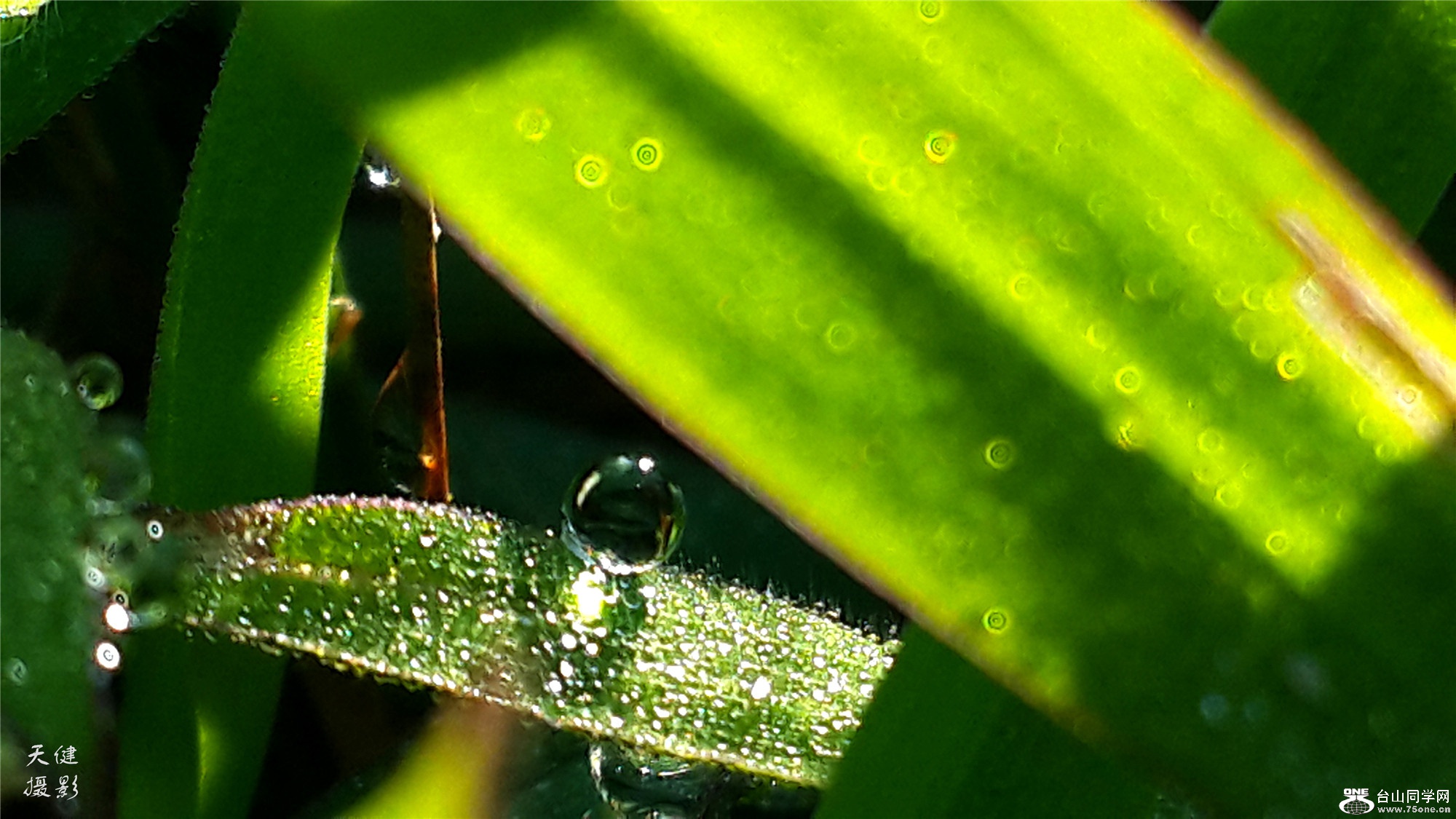 20160809_073829.jpg