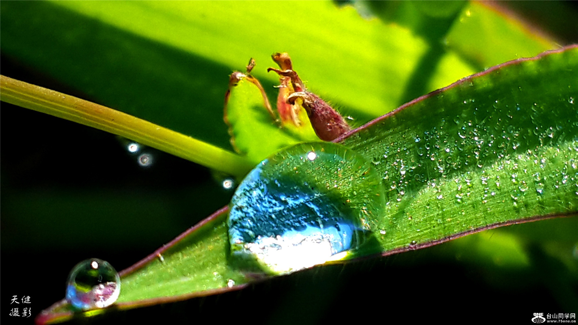 20160809_074544.jpg