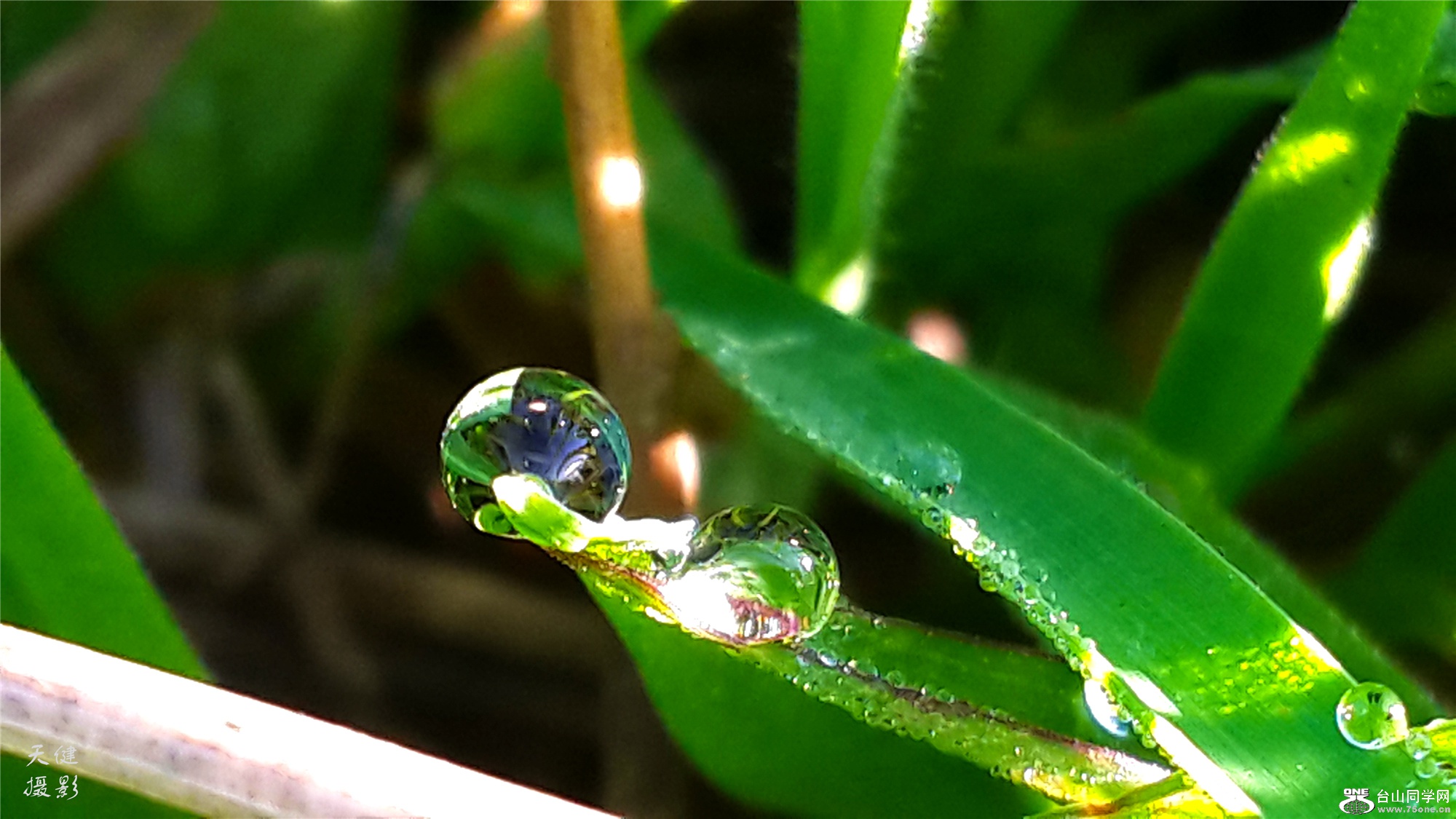 20160809_074923.jpg