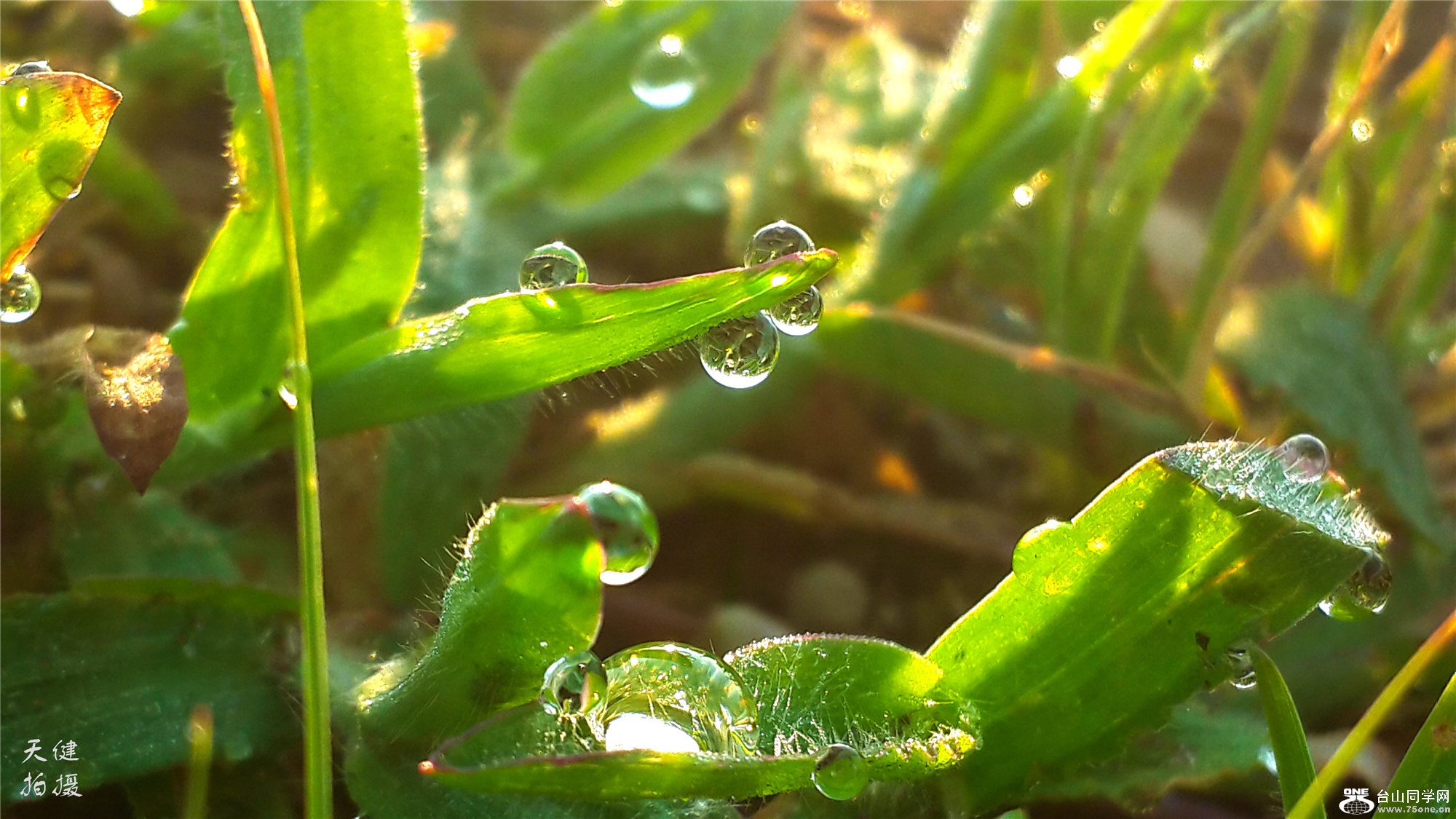 20160730_065937.jpg