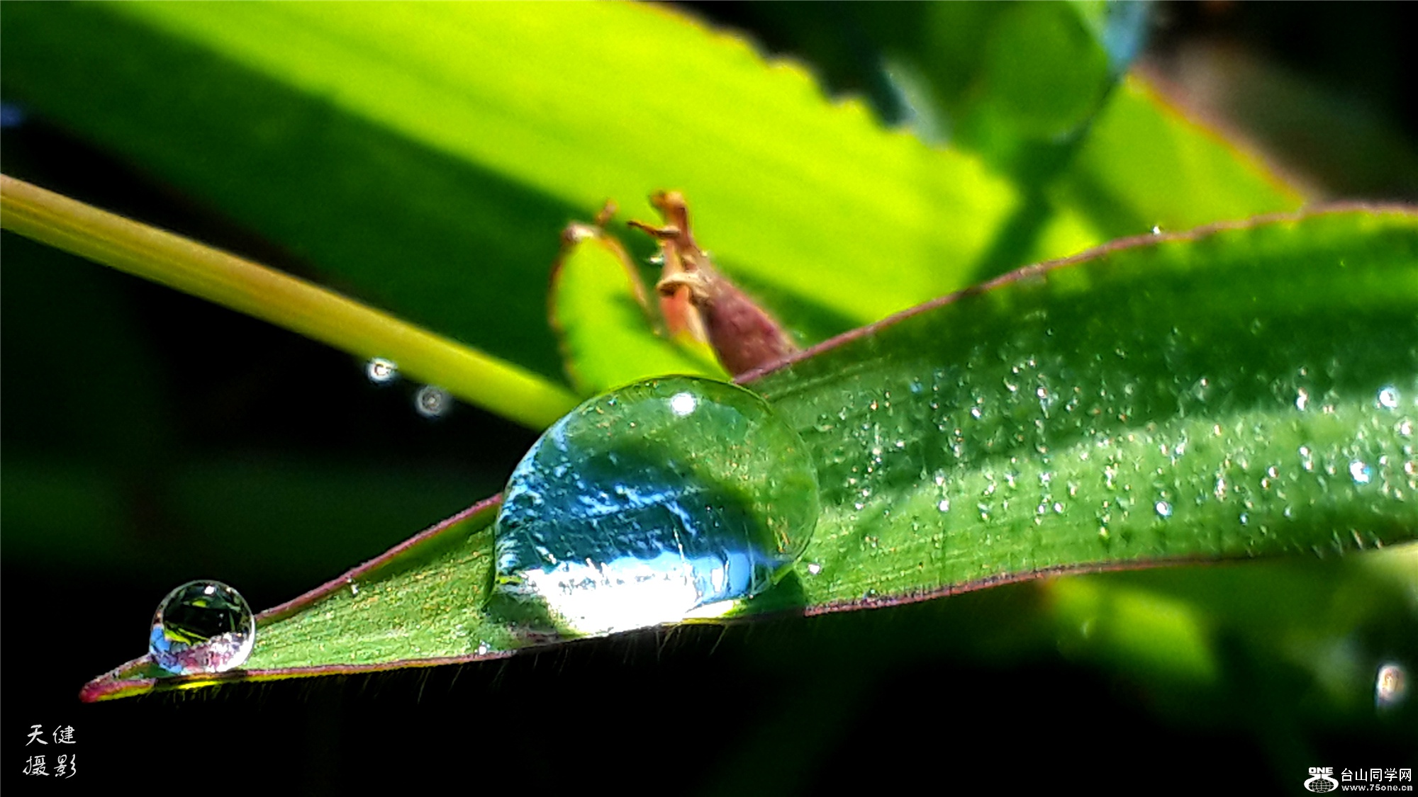 20160809_074510.jpg