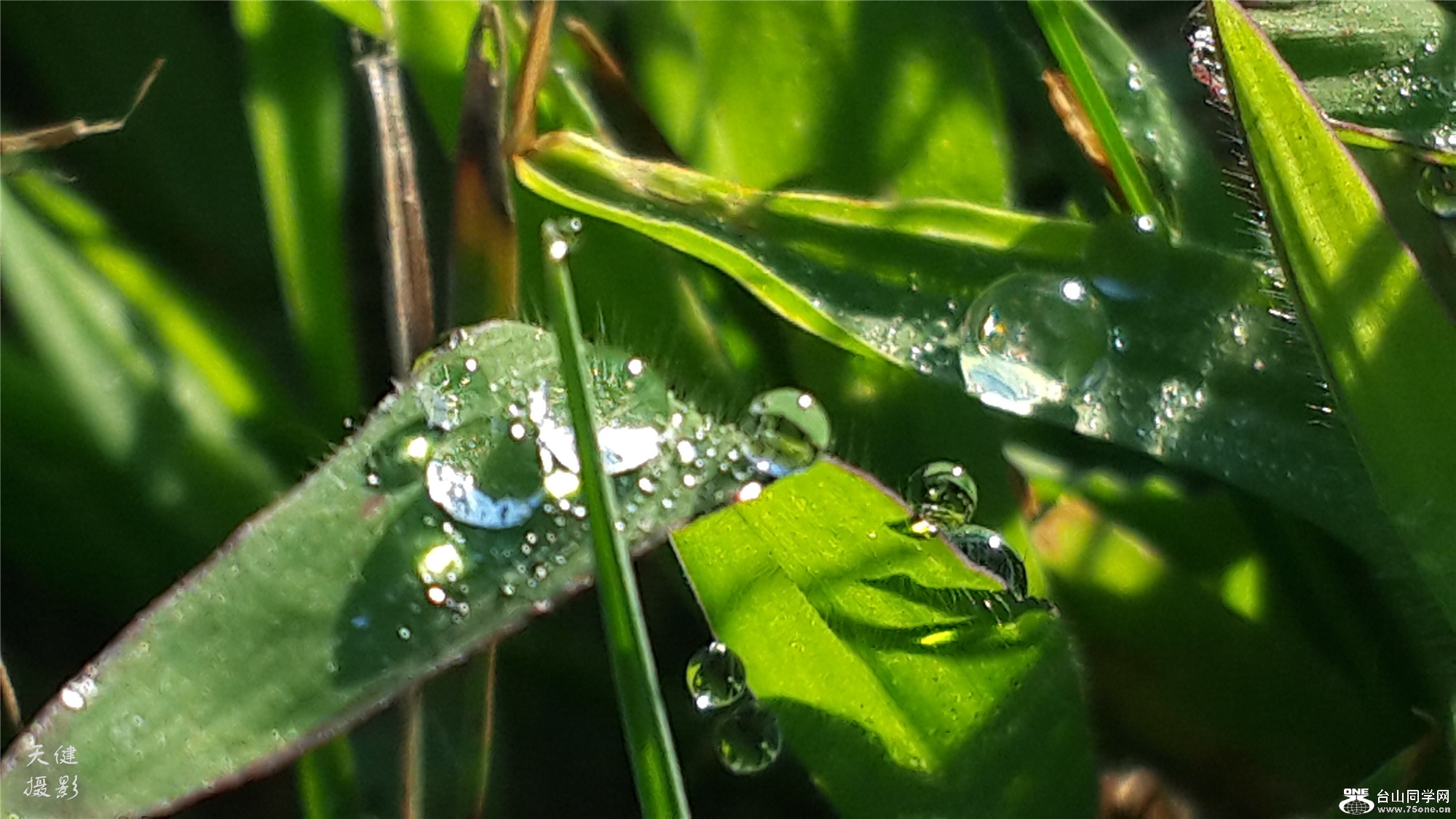 20160809_073908.jpg