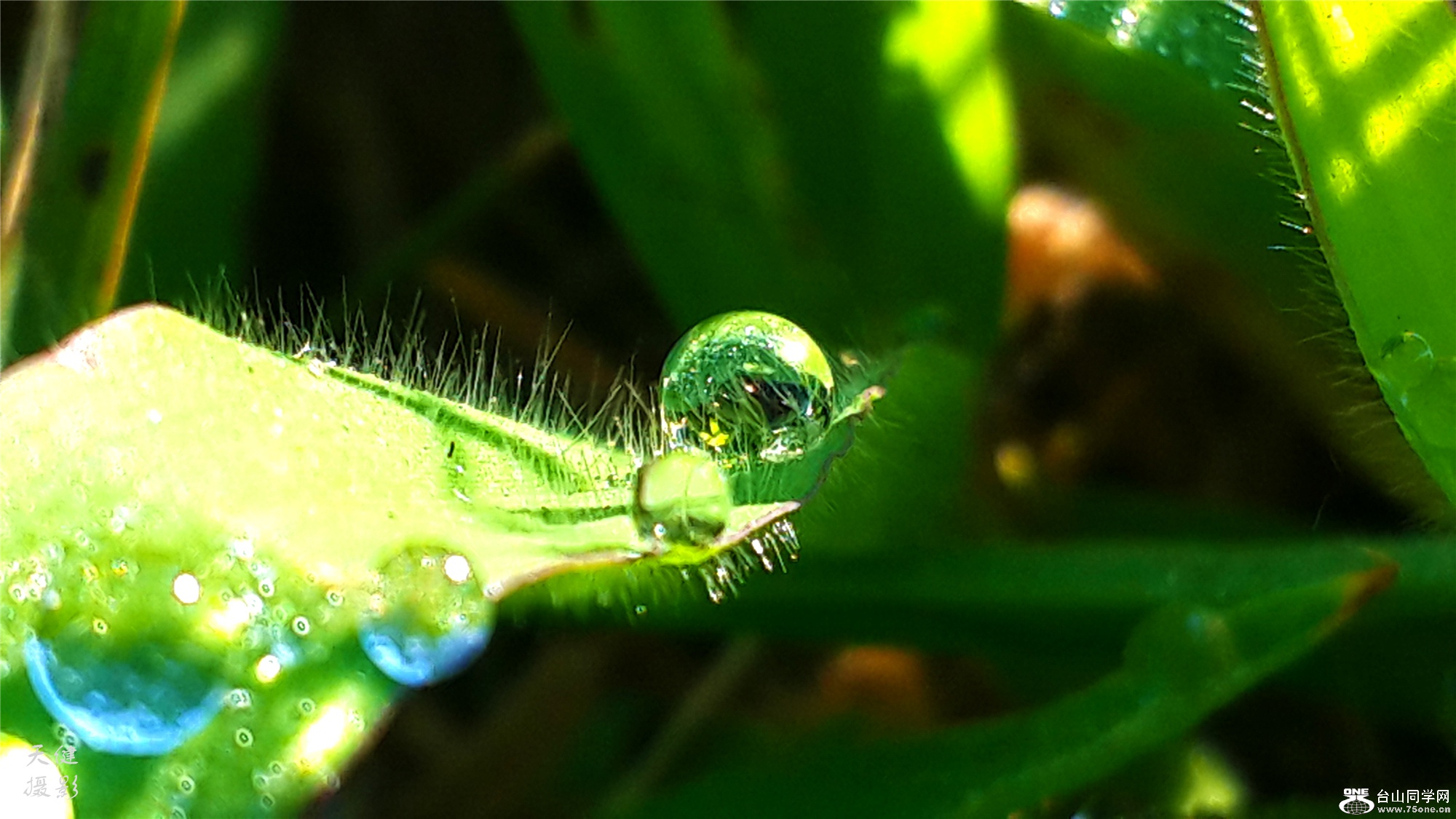 20160809_074049.jpg