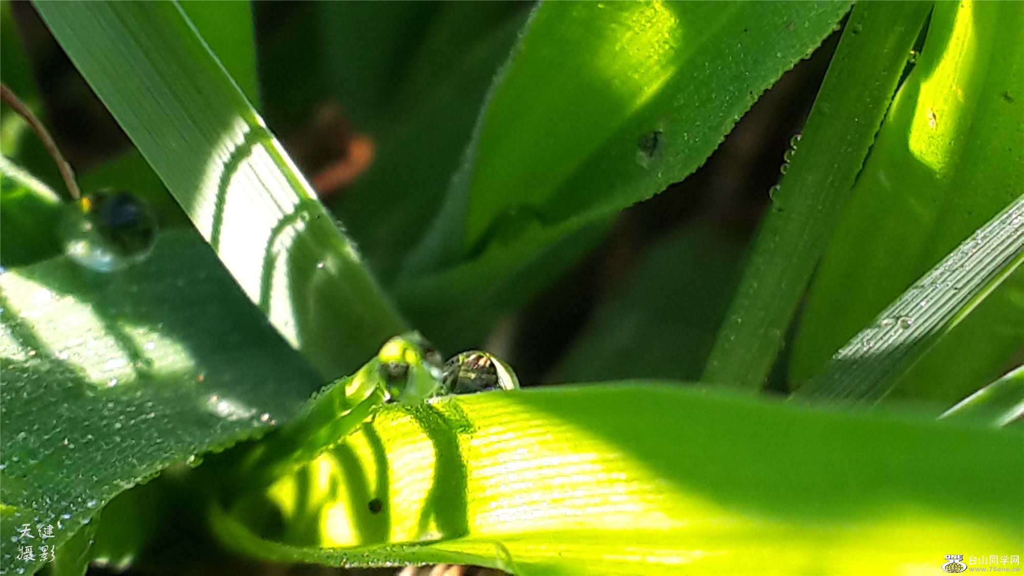 20160809_074904.jpg