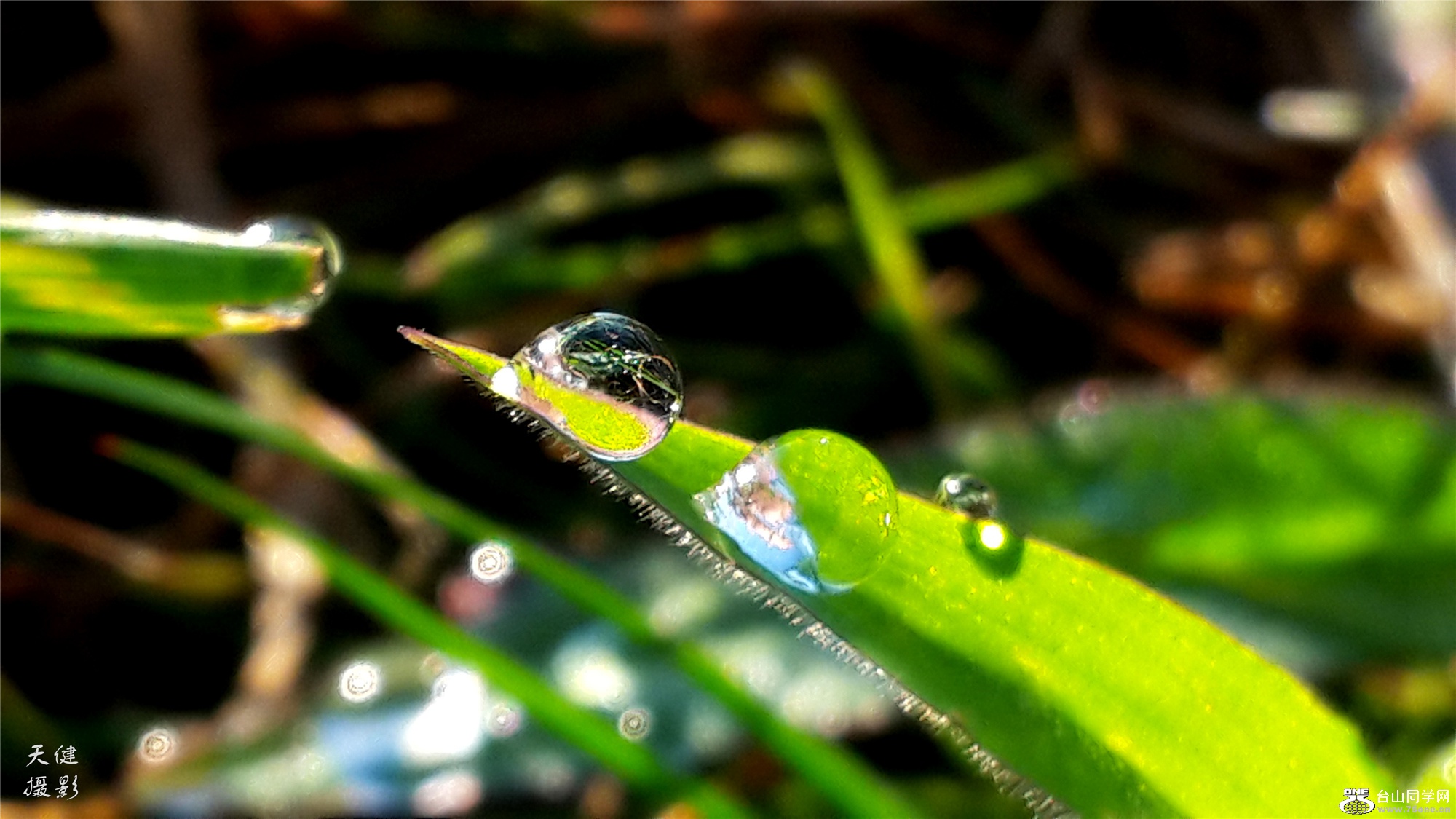 20160809_072635.jpg