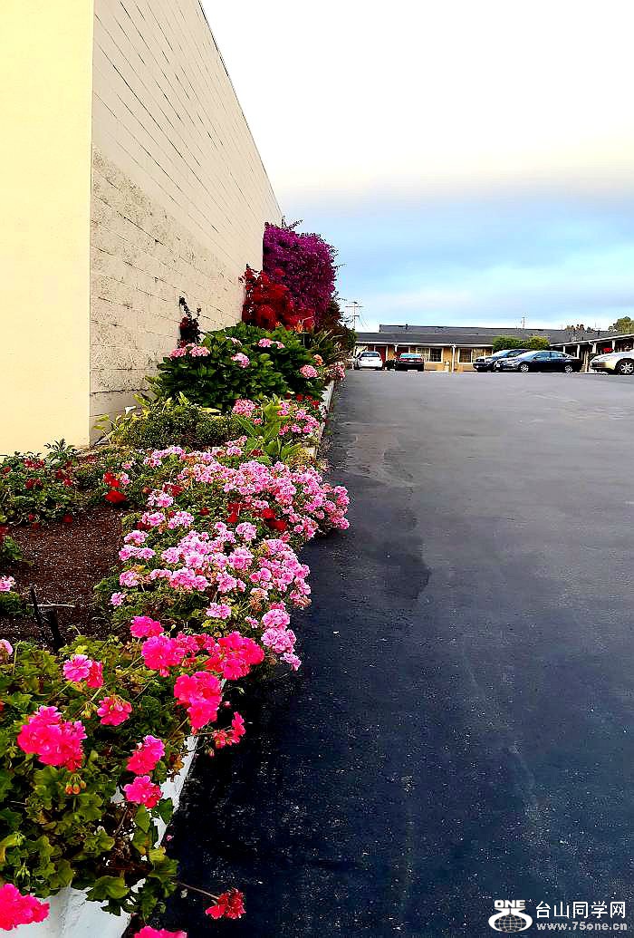 20160515_193907_LLS.jpg