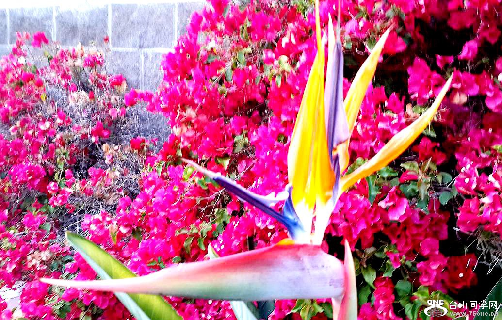 20160515_194524.jpg