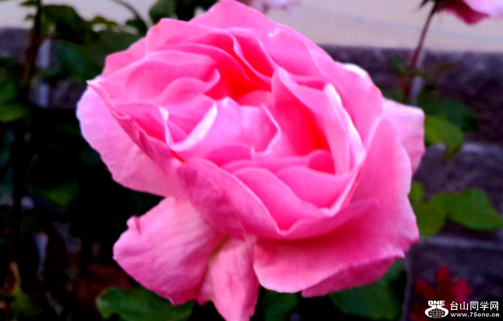 20160515_194541.jpg