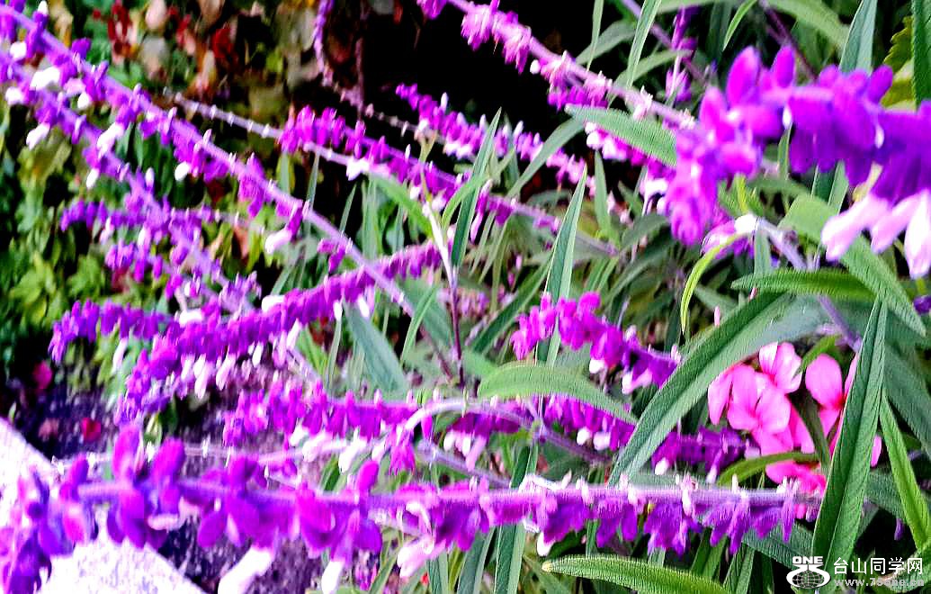 20160515_194634.jpg