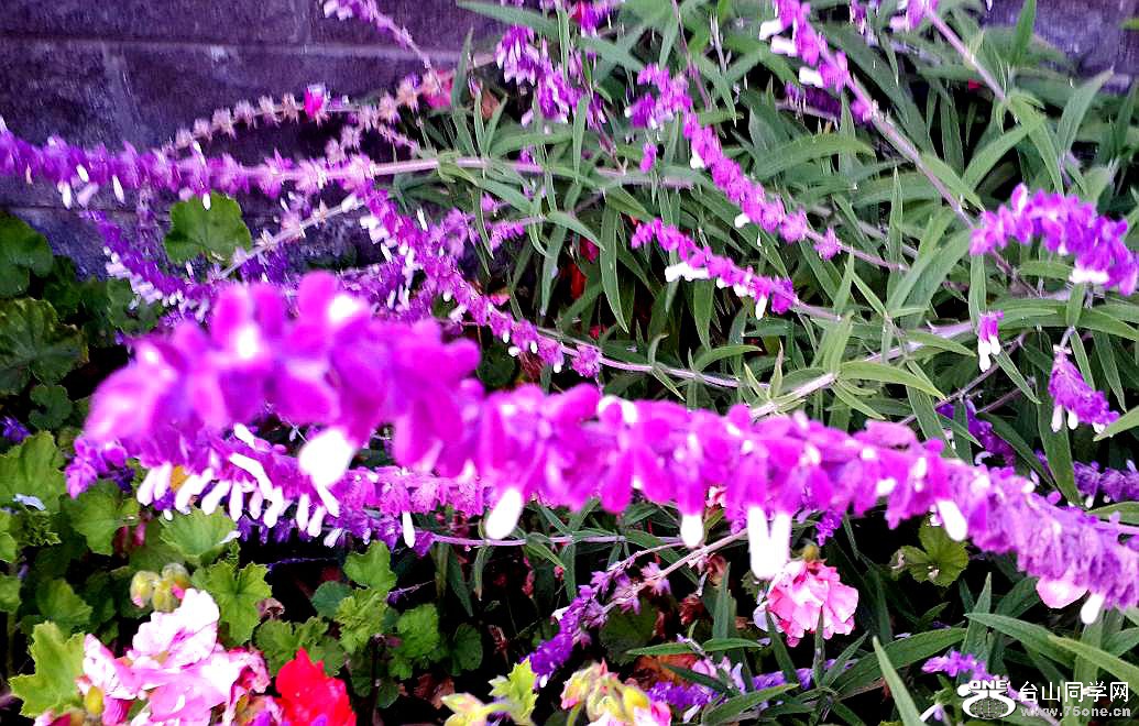 20160515_194559.jpg