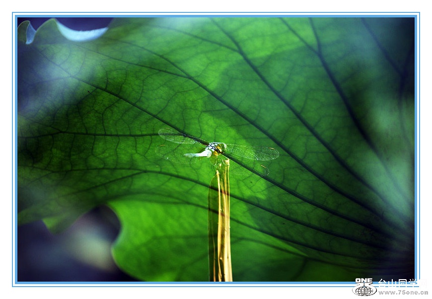 DPP_201.4.8-130123_副本.jpg