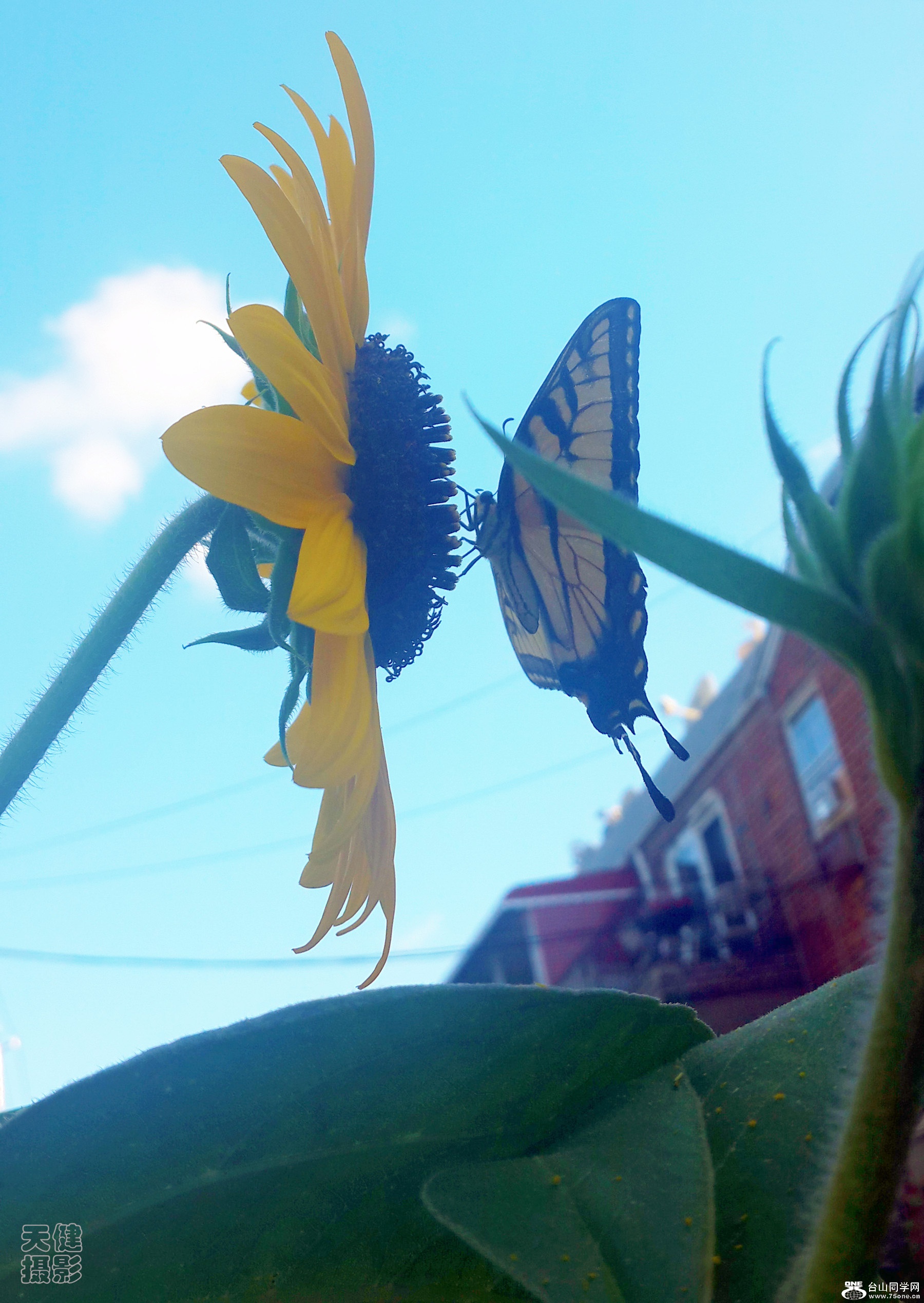 20160804_082148_.jpg
