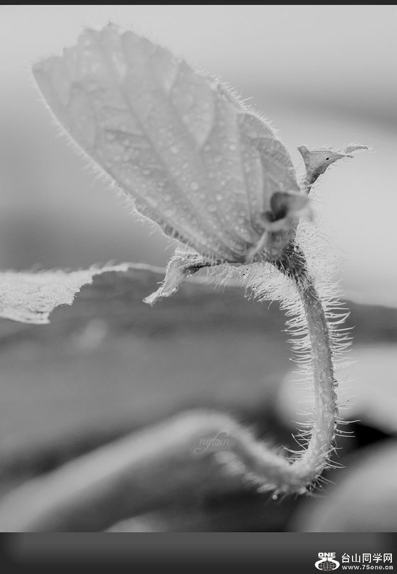 DSC_0792..,_.jpg